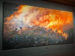 -罗红摄影艺术馆