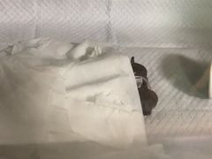 -西安京西宠物医院·瘫痪·疑难杂症