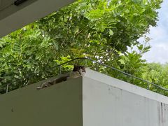 -厦门国家会计学院