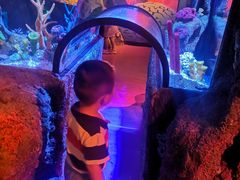 -沈阳海洋探索中心