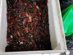 -马王堆海鲜水产市场