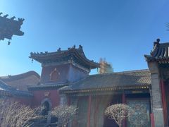 -五台山风景名胜区-罗睺寺