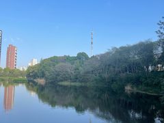 -四里河滨水生态公园