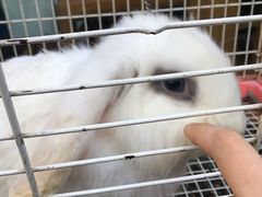 -锦尚阁烤鱼•天津菜(宣武门胡同店)