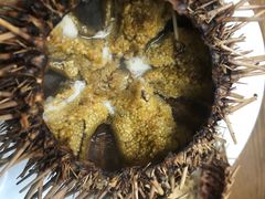 -海胆小馆(东北水饺·春柳店)