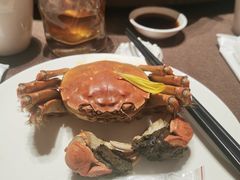 -蟹榭·莳鲜(虹桥高岛屋店)