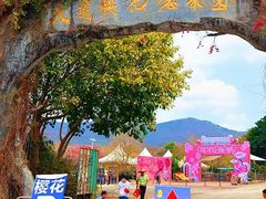 -天适樱花悠乐园