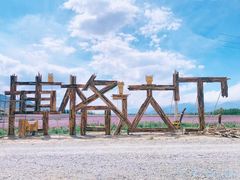 -毡房姑娘·新疆菜·烧烤