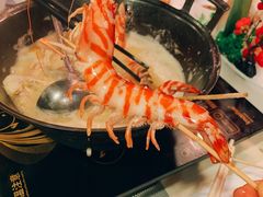 -鲜入围煮花胶鸡海鲜火锅