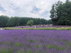 -富田农场