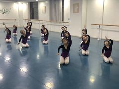 -西安小天鹅艺术团(金花路校区)