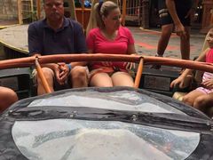 -奥兰多迪士尼动物王国乐园