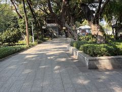 -荔湾湖公园