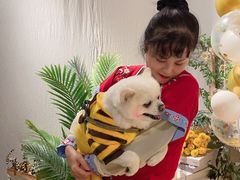 -百好乐宠物友好餐厅(朝外大街店)