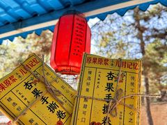 -普陀宗乘之庙(小布达拉宫)