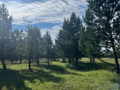 -塞罕坝国家级自然保护区