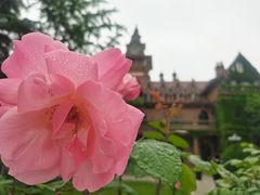 -上海影视乐园