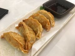 炸餃子-元气寿司(金光华店)