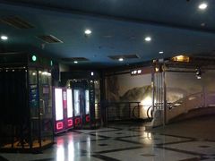 -万达影城(锦华万达广场IMAX店)