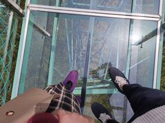 -陶祖圣境风景区