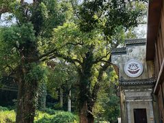 -上坦村