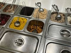 -油梨树 AVOCADO TREE(亮马桥店)