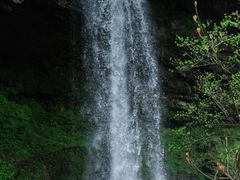 -龙苍沟森林公园