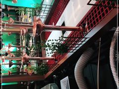 -阪尚皇·原切牛排·烤肉火锅自助(北京路店)