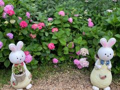 -上海共青森林公园