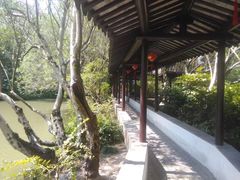 -上海醉白池公园