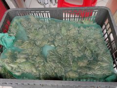 -二0二李记南瓜田鸡老字号(宜宾一店)