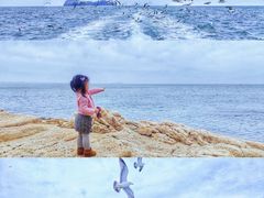 -海驴岛(荣成市)