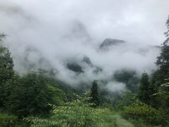 -鹿院坪生态旅游景区