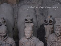 -秦始皇帝陵博物院(兵马俑)