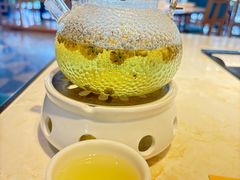 -点都德·毕德寮