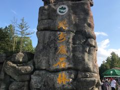 -汤旺河林海奇石景区