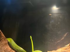 -昆明动物园