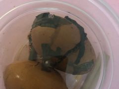 -杏花堂·山西菜馆(晋中万达店)