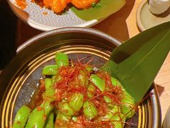 -Hatsune隐泉日式料理(三里屯太古里店)