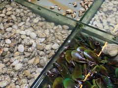 -青石桥市场北1-27号