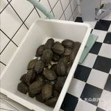 来看可爱的小动物吧！