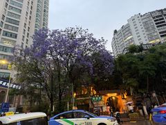 -昆明金鹰广场酒店(南屏老街店)