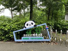 -都江堰中华大熊猫苑