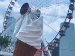 -富豪雪糕车流动点(尖沙咀店)