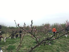 -白鹭湾湿地公园