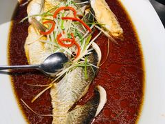 -丹江渔村(望京店)