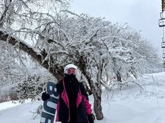 -太子岭滑雪场
