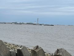 -上海滨江森林公园