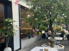 -花神·轻食简餐·咖啡馆·花卉绿植(荷兰花卉小镇店)