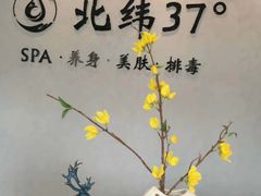 -北纬37°SPA养身会馆(湖西店)